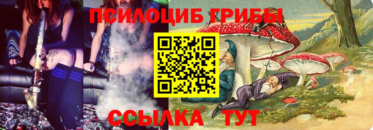 Советск  Псилоцибиновые грибы ЛСД  Галлюциногенные грибы GOLDEN TEACHER  Вход с VPN 